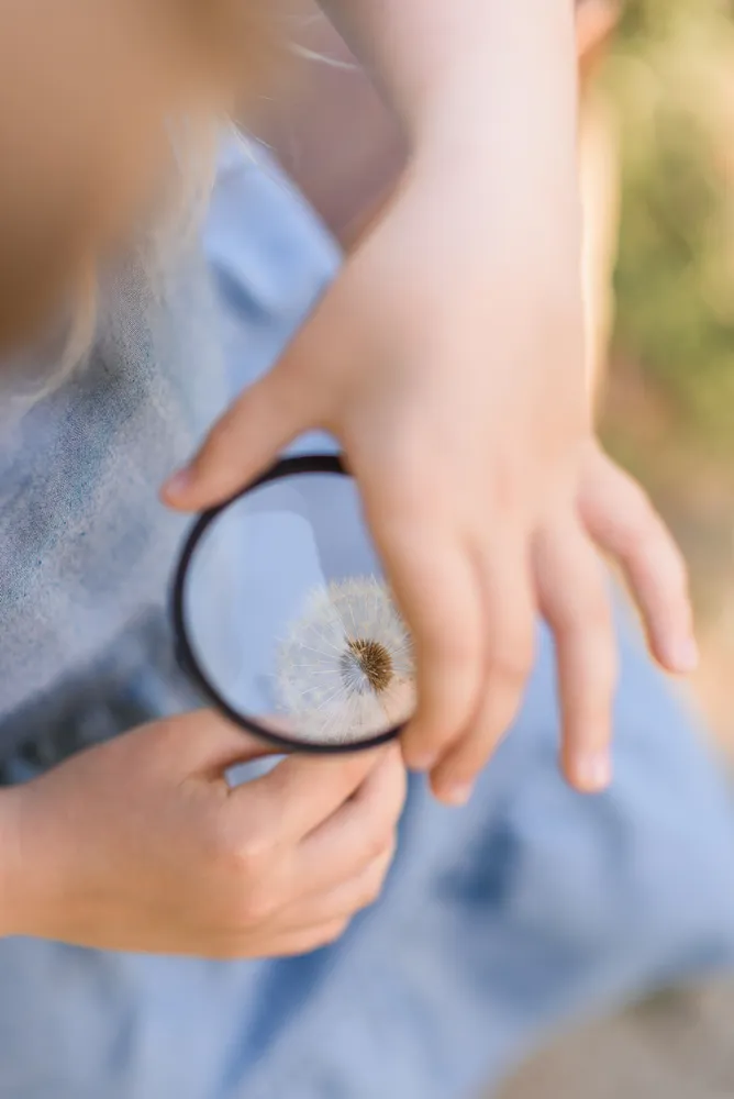 A child, dressed in blue, examines a dandelion through a magnifying glass, focusing on its intricate details. The background is blurred, emphasizing the subject's curiosity and the delicate beauty of the dandelion.
