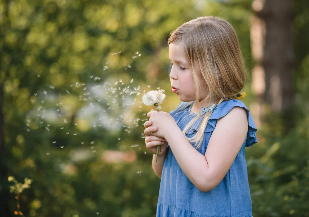 A young girl in a blue dress blows on a dandelion, scattering its seeds amidst a sunlit, verdant forest backdrop.