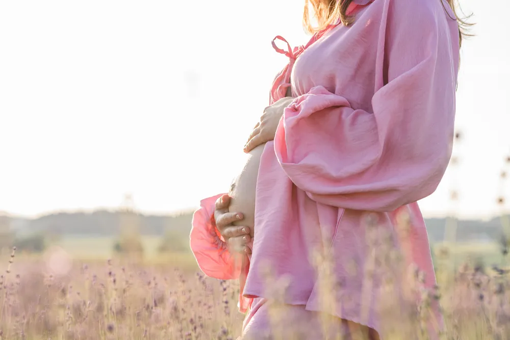 Pregnant woman in pink robe gently cradles belly in lavender field at dusk.